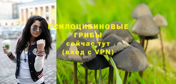 каннабис Кодинск