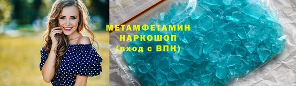 ГАЛЛЮЦИНОГЕННЫЕ ГРИБЫ Козловка