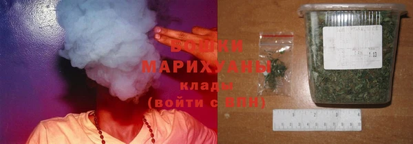 ГАЛЛЮЦИНОГЕННЫЕ ГРИБЫ Козловка