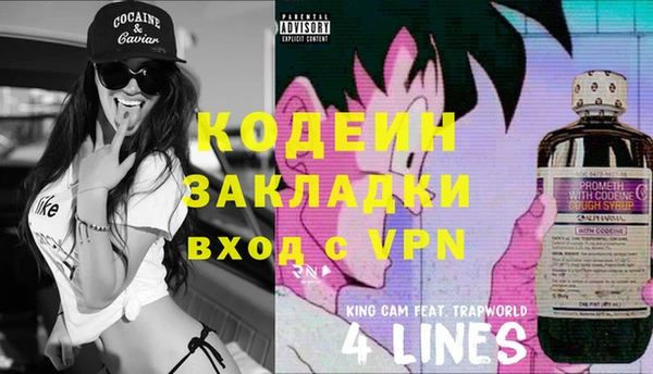 гашик Козельск
