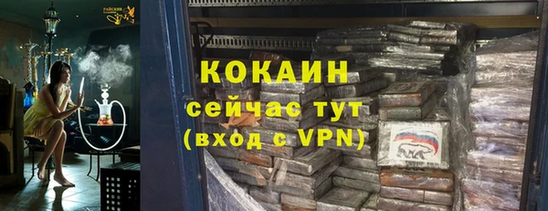 гашик Козельск