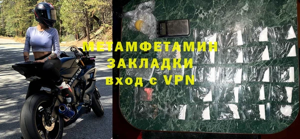 ГАЛЛЮЦИНОГЕННЫЕ ГРИБЫ Козловка