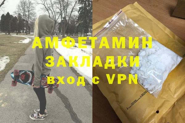 ГАЛЛЮЦИНОГЕННЫЕ ГРИБЫ Козловка