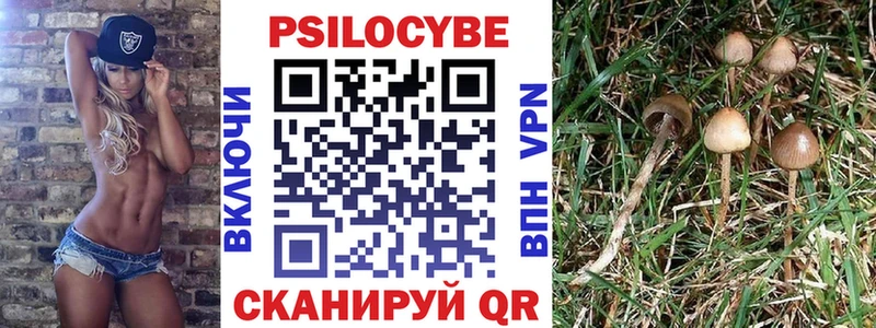 Купить где  Будённовск  Псилоцибиновые грибы Psilocybine cubensis 